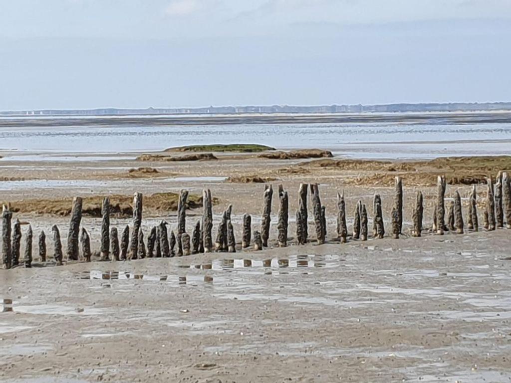 Studio Mit Meerblick Und Grosser Loggia - Direktzugang Zur Nordsee 威廉港 外观 照片
